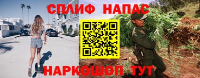 гидропоника Пушкино